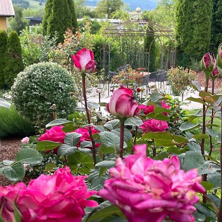 Bed&Breakfast Mittelkärnten Althofen  Exteriör bild