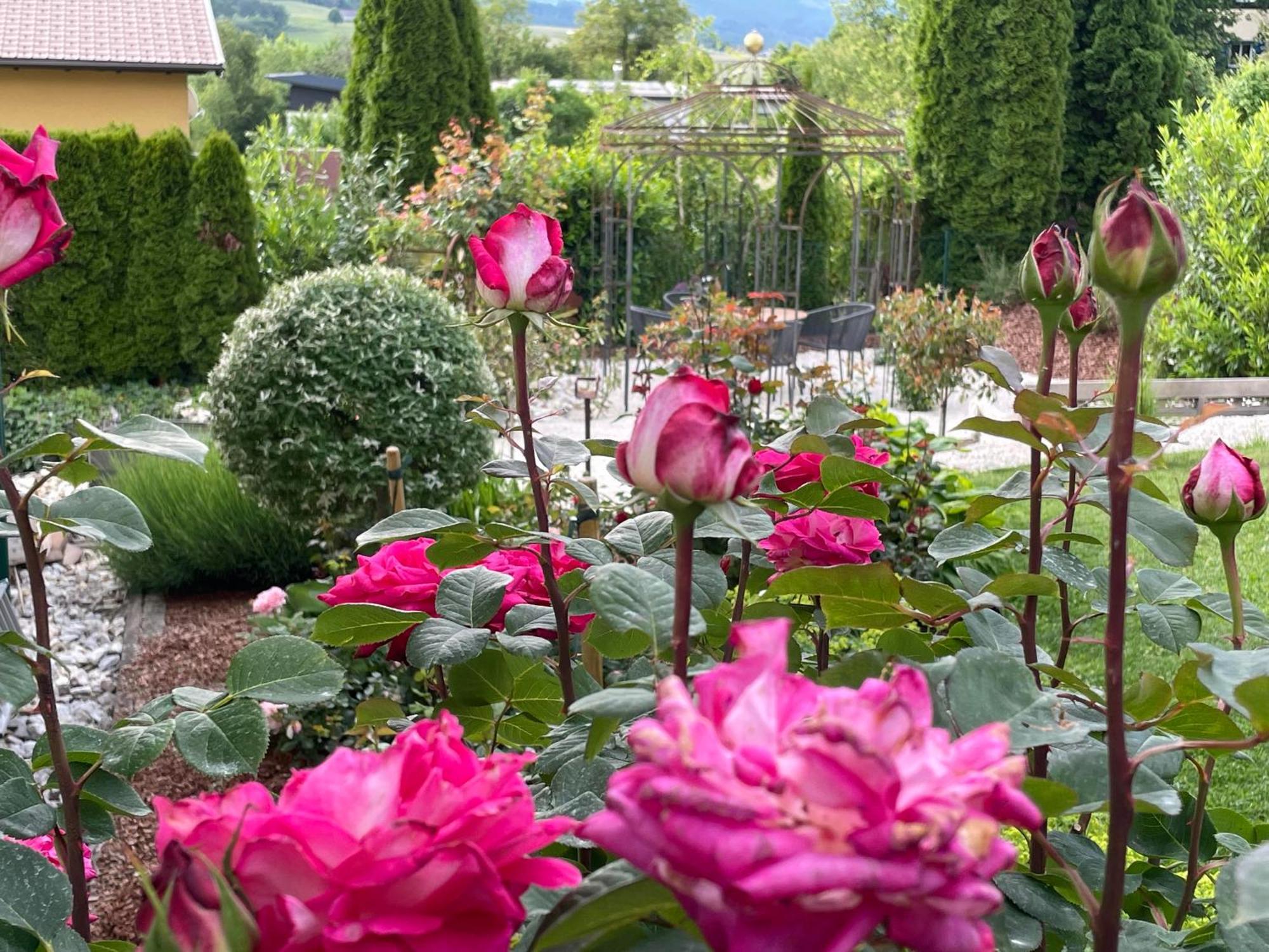 Bed&Breakfast Mittelkärnten Althofen  Exteriör bild