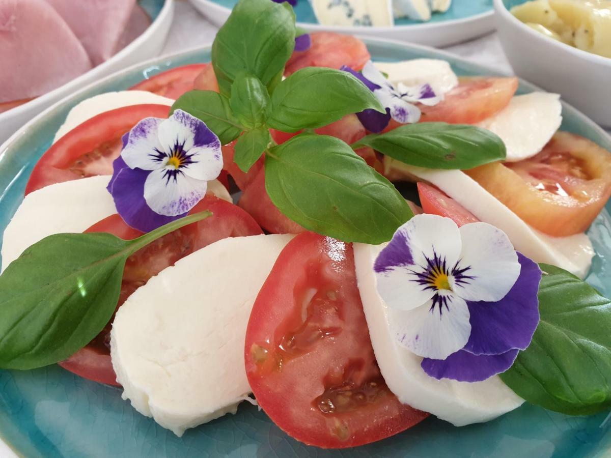 Bed&Breakfast Mittelkärnten Althofen  Exteriör bild